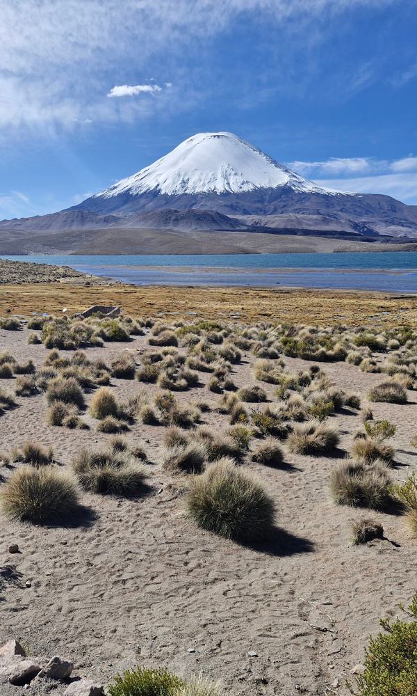 aventuras sin l�mites