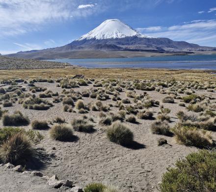 Altiplano una experiencia �nica