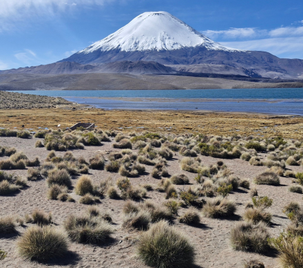 Altiplano: A Unique Experience
