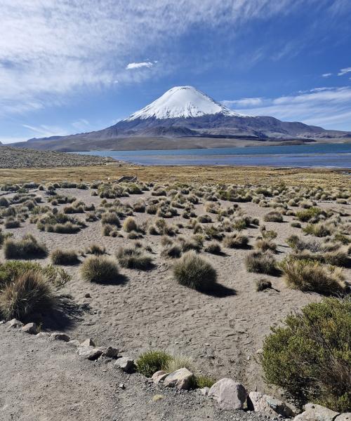 Altiplano una experiencia �nica