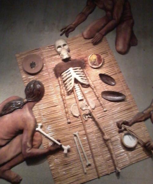 Expedici�n Chinchorro