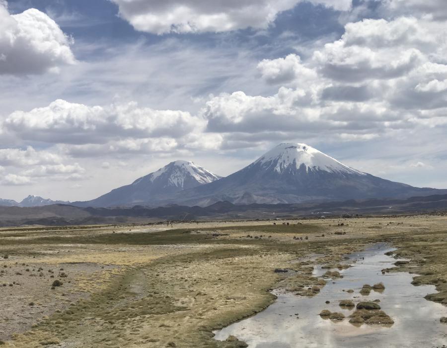 Lauca National Park