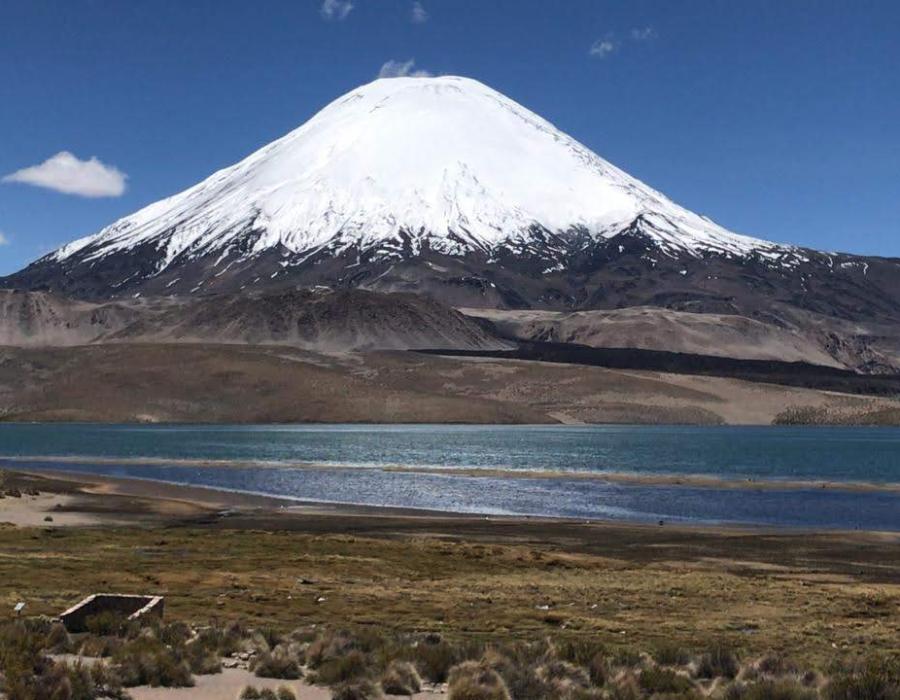 Let�s Enjoy the Altiplano