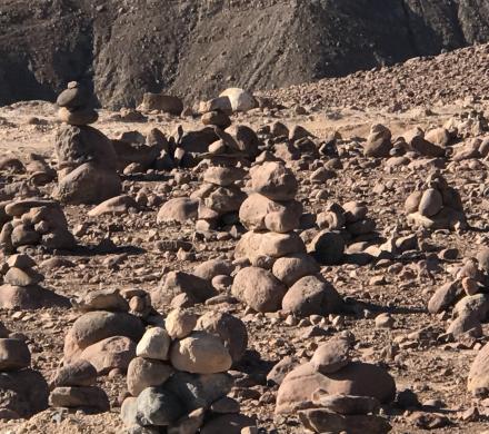 Let�s Enjoy the Altiplano